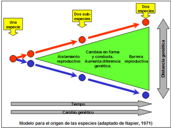 Blog 150228 - Origen de especies - 2
