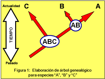 Blog 150330 - Árbol genealógico - Fig. 1