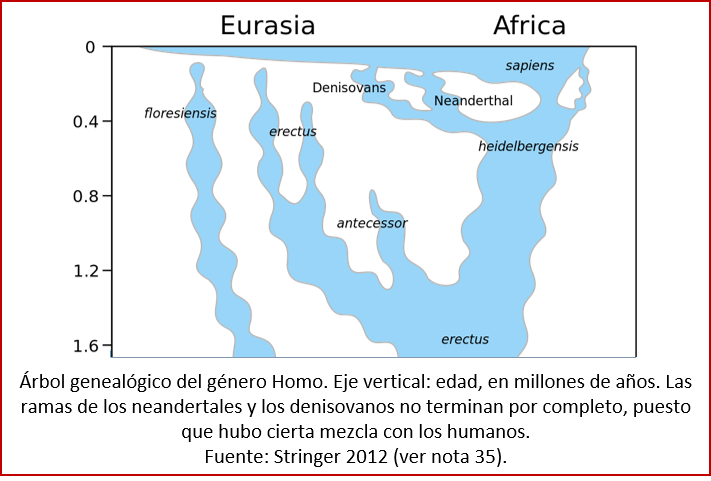 Blog 1603XX - Árbol genealógico de Homo