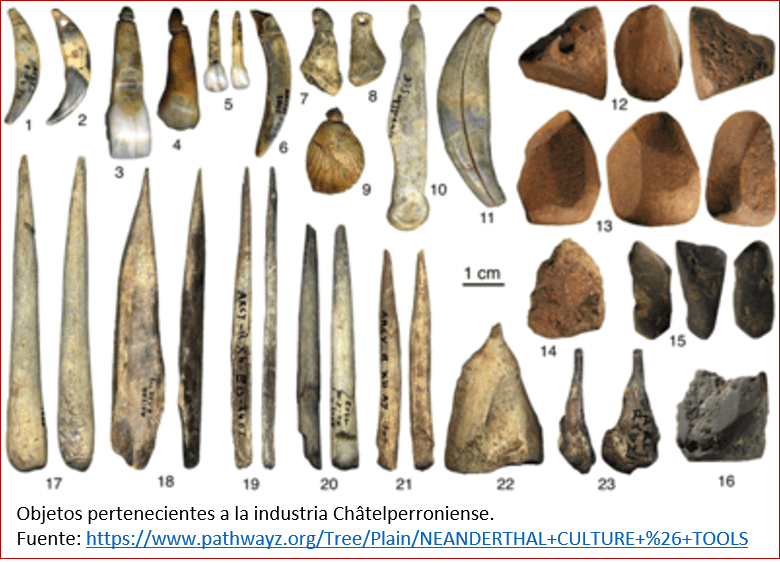 Blog 1605XX - Ocaso de los neandertales 1 - châtelperroniense