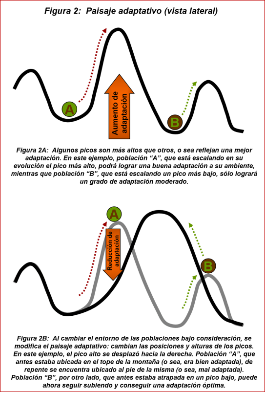 blog-1610xx-paisajes-adaptativos-fig-2