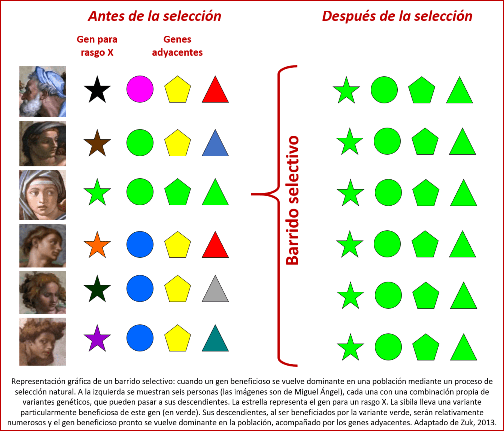 Blog 1801XX - Barrido selectivo