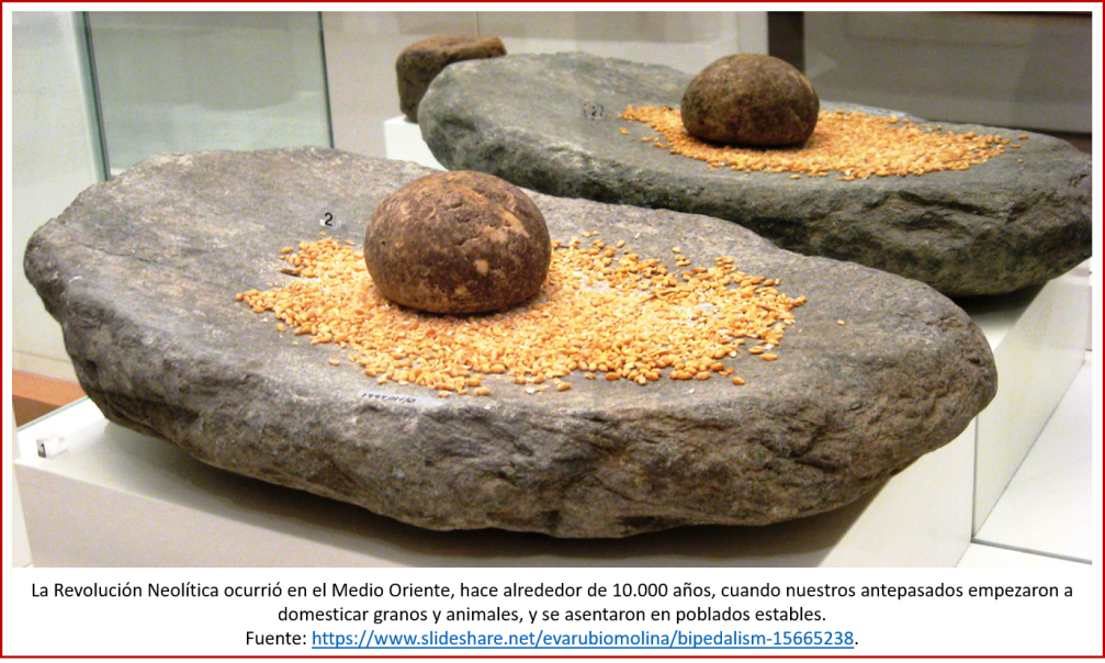 Blog 180203 - Revolución Neolítica