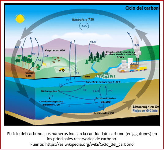 Blog 180614 - Ciclo del carbono