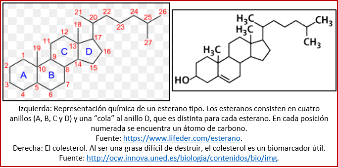 Blog 180811 - Esteranos