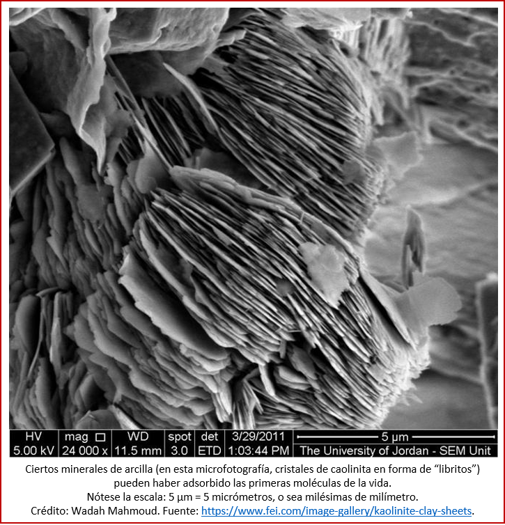 Blog 1811XX - Caolinita