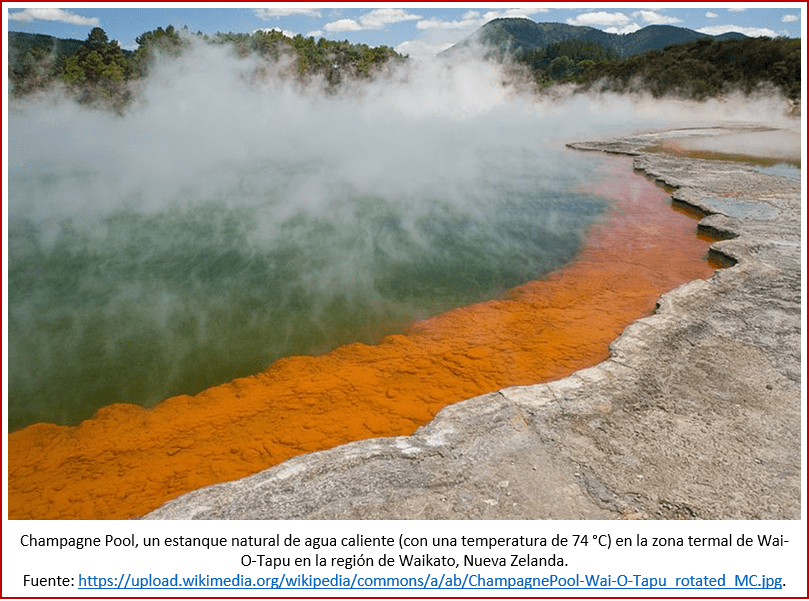 Blog 1812XX - Champagne Pool