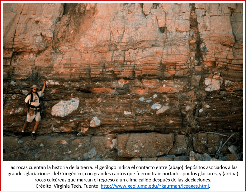 Blog 1906XX - Animales - diamictite-carbonate contact