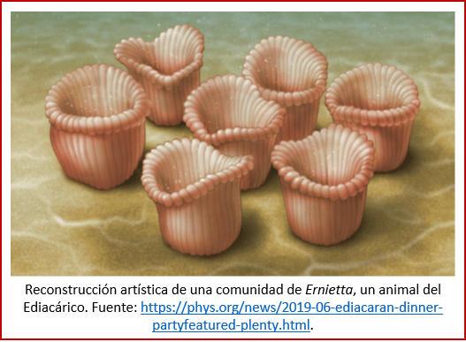 Blog 1906XX - Animales - Ernietta