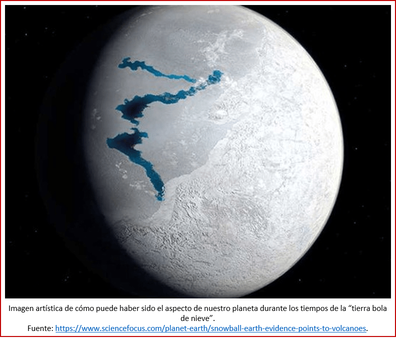 Blog 1906XX - Animales - Tierra bola de nieve