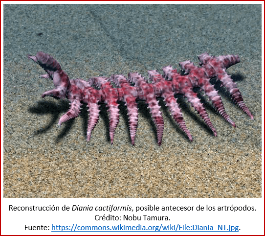 Blog 1909xx - Cámbrico - Diania