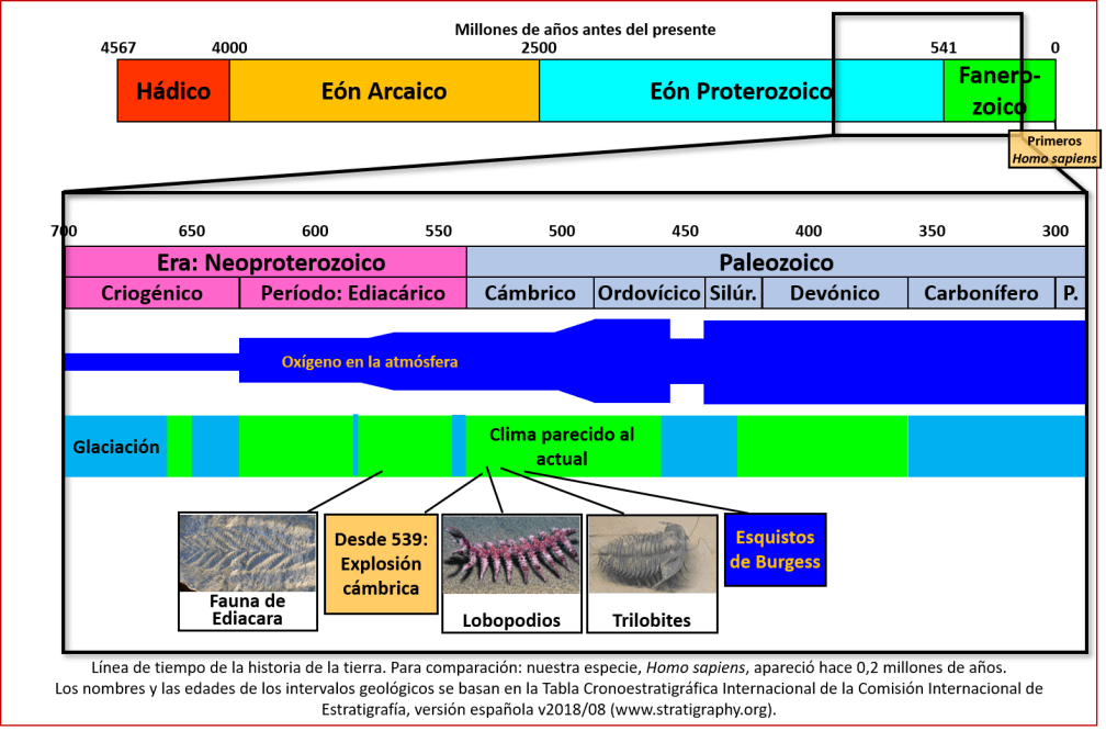 Blog 1909xx - Cámbrico - Línea de tiempo