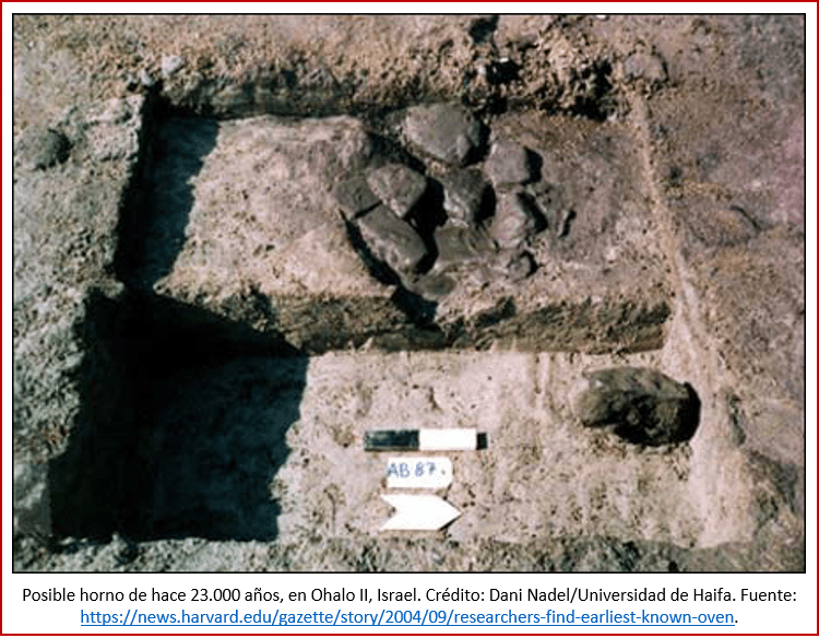 Blog 191027 - Revolución neolítica 2 - Ohalo II