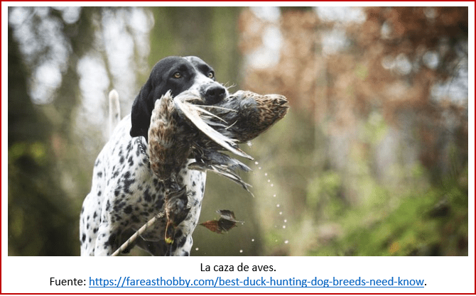 Blog 200201 - Revolución neolítica 4 - caza