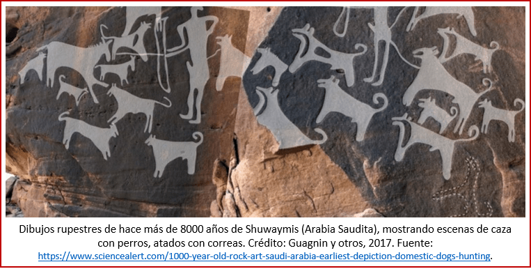 Blog 200201 - Revolución neolítica 4 - dibujos