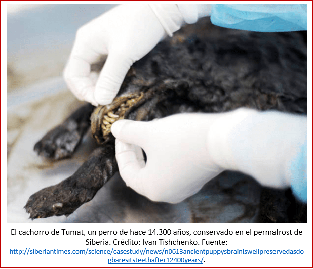 Blog 200201 - Revolución neolítica 4 - Tumat