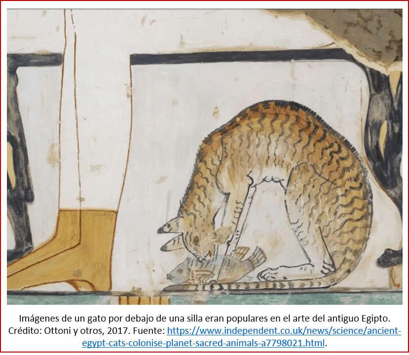 Blog 2002xx - Revolución neolítica 5 - gato