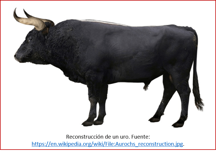 Blog 2002xx - Revolución neolítica 5 - uro