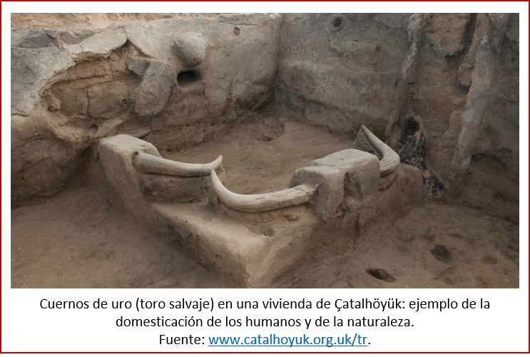 Blog 200430 - Revolución neolítica 6 - Çatalhöyük