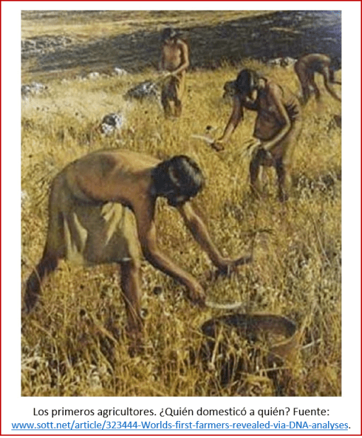 Blog 200430 - Revolución neolítica 6 - quien domesticó