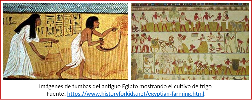 Blog 2006xx - Revolución neolítica 8 - Egipto